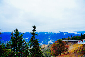 Obraz premium ali shan mountain and qingjing farm landscape in Taiwan 