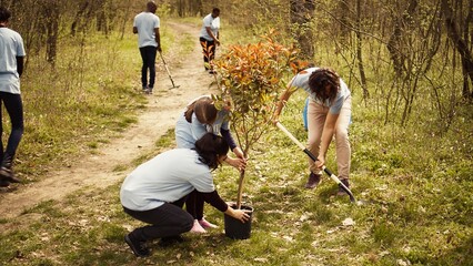 Climate activists planting new trees in a woodland ecosystem, digging holes and putting seedlings...