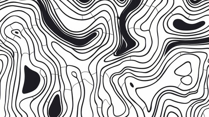 Fototapeta premium Topographic lines with black lines and a white background. Topographic lines that are used as an indication of the height and low of an area.