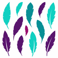 A Set of 27pcs A set of drawn vector bird feathers on white background     