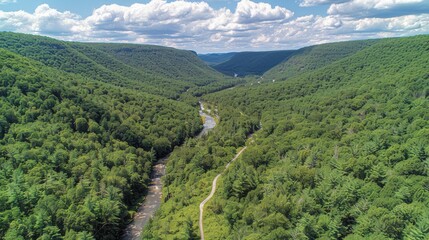 Scenic aerial view of lush green valley with winding river and hiking trail under a vibrant blue sky with fluffy white clouds