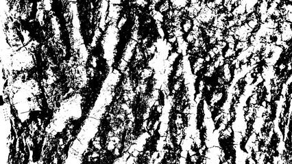 4-21.  Wood Surface Texture Effect - Illustration Old Wood Black and White Vector Texture.