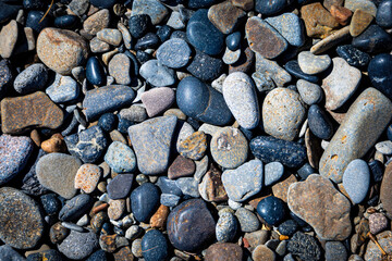 Rocky Shore on the Beach