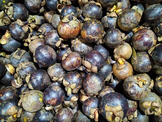 Mangosteen