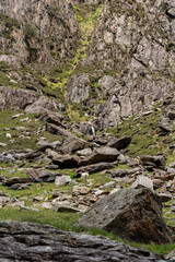 Mountain goats grazing on rocky terrain