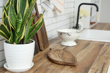 Wooden kitchen counters with houseplant and utensils near white brick wall, closeup
