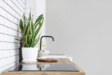 Wooden kitchen counters with houseplant and electric stove near white brick wall