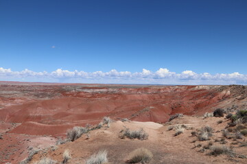 Painted Desert 
