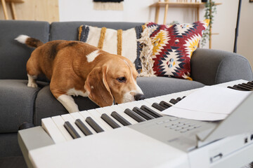 Cute beagle dog with modern synthesizer sitting on sofa at home