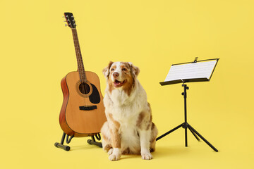 Cute Australian Shepherd dog with guitar and music stand on yellow background