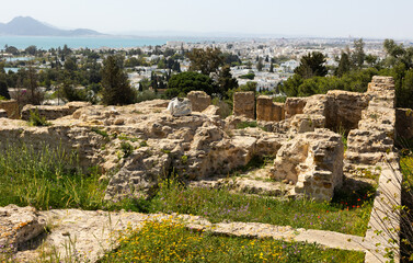 Obraz premium Ruins of the house of Hannibal at the excavations of Carthage