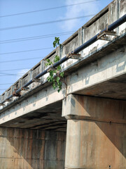 the bridge in the city