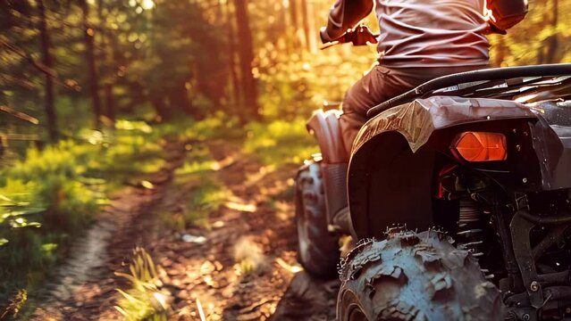 Person riding ATV on forest trail at sunset