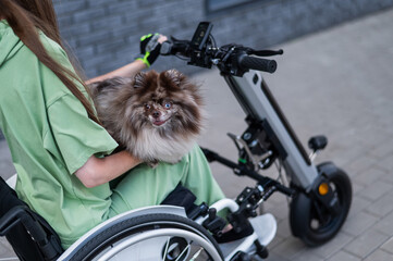 A woman in a wheelchair with a hand-control assist device carries a Spitz merle dog. Electric...