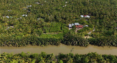 Amazing aerial view from drone of Mekong Delta countryside, vast coconut field along canal, green...