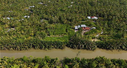 Amazing aerial view from drone of Mekong Delta countryside, vast coconut field along canal, green palm trees and nipa plant with river make natural jungle of Vietnamese village for BenTre eco travel