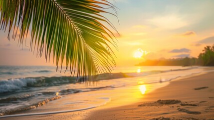 Green palm leaf on tropical beach with sunlit bokeh wave abstract, serene and tropical ambiance