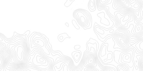 Vector geography landscape Topo contour map on white background, Topographic contour lines. Seamless pattern with lines Topographic map. Geographic mountain relief diagram line wave carve pattern.