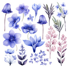 Watercolor stickers set clipart morning gloryflower
