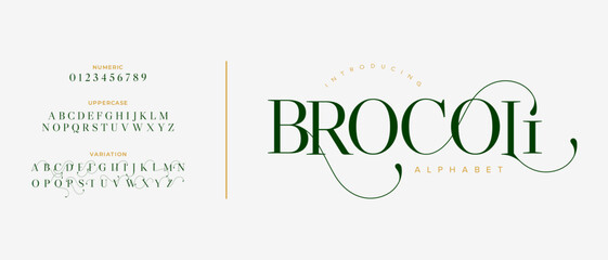 Brocoli elegant font alphabet uppercase lowercase and number. Classic lettering minimal fashion designs. Typography modern serif fonts regular decorative vintage concept. Vector illustration
