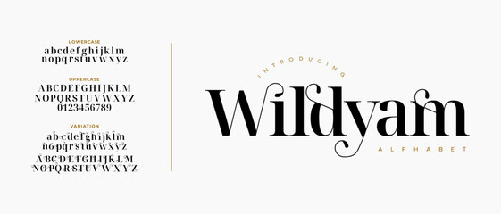 Wildyam elegant font alphabet uppercase lowercase and number. Classic lettering minimal fashion designs. Typography modern serif fonts regular decorative vintage concept. Vector illustration