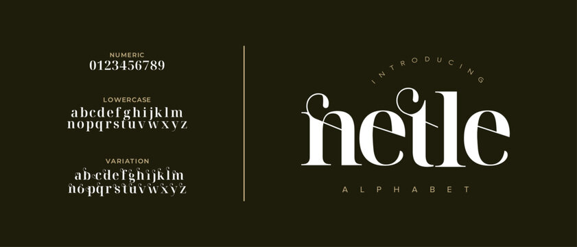 Netle elegant font alphabet uppercase lowercase and number. Classic lettering minimal fashion designs. Typography modern serif fonts regular decorative vintage concept. Vector illustration