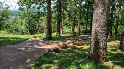 Trees and Walking Path, Point Lookout, Point Lookout, Missouri