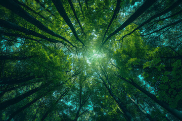 Looking up from underneath some canopy forest trees in a style that merges tilt shift, environmental awareness, and lush landscape backgrounds.