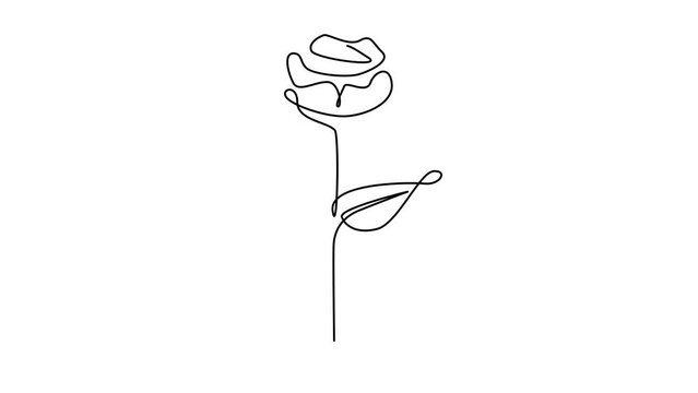 Flower drawing mono line. Continuous line icon on white background. template