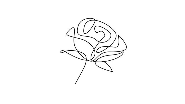 Flower drawing mono line. Continuous line icon on white background. template