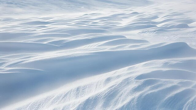 The wind blowing through a field of snow rollers creating ripples and patterns in the snow.