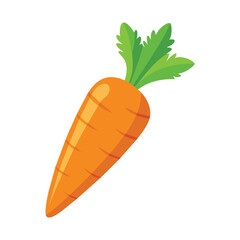 carrot vector illustration on white