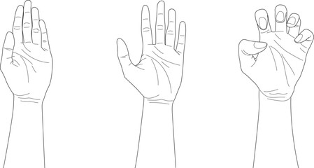doodle open hands with different gesture, hand drawn, outline vector, counting hand	
