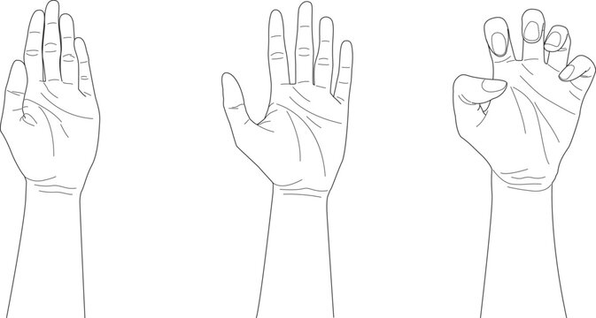 doodle open hands with different gesture, hand drawn, outline vector, counting hand	