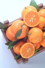 Jeruk santang madu ( citrus sinensis) . Often consumed during Chinese New Year, isolated on white background
