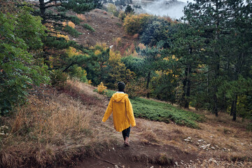 Exploring the Beauty of Nature A Woman in a Yellow Raincoat Walking on a Trail in the Woods with a...