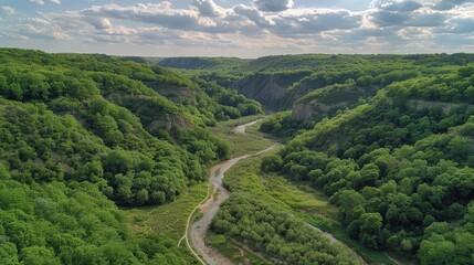 Obraz premium A breathtaking aerial view of a winding road through a lush green valley surrounded by forested hills under a partly cloudy sky