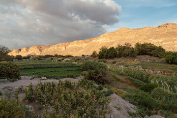 Lasana Valley at sunset, in the Loa River canyon, northern Chile