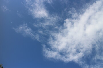 blue sky with white, soft clouds