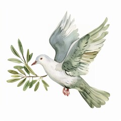 Fototapeta premium Watercolor clipart of an olive branch in a doves beak single object