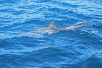 Obraz premium Paisajes marinos en el parque nacional Mochima,estado Sucre Venezuela.