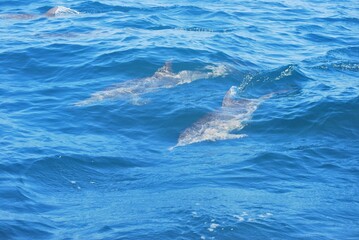 Obraz premium Paisajes marinos en el parque nacional Mochima,estado Sucre Venezuela.