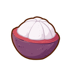 mangosteen fruit vector illustration, buah manggis