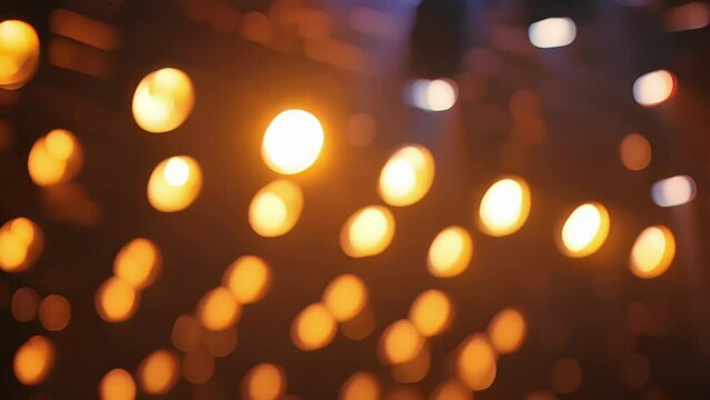 The lights dim signaling the start of the show and hushing the buzzing chatter in the audience.
