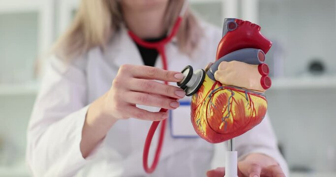 Doctor with stethoscope on heart model