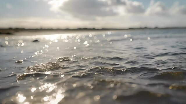 The tidal flats are a natural buffer protecting the surrounding land from the powerful forces of the sea.