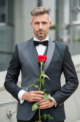 elegant man in black tuxedo. man wearing tuxedo bowtie outdoor. mature tuxedo man with red rose
