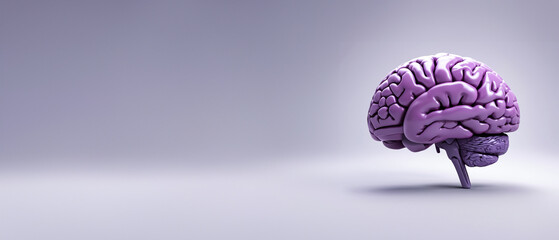3D rendered human brain in shades of purple with solid background