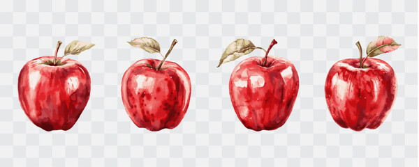 Apple fruit watercolor isolated graphic transparent