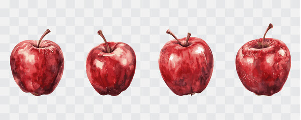 Apple fruit watercolor isolated graphic transparent